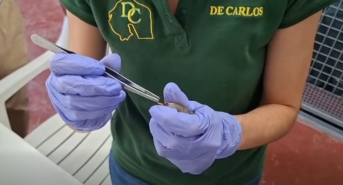 MEDIO AMBIENTE VISITA LAS INSTALACIONES DEL CENTRO DE RECUPERACI�N DE ESPECIES AMENAZADAS